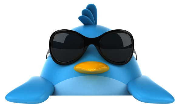 pájaro twitter con gafas de sol