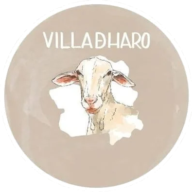 Villadharo