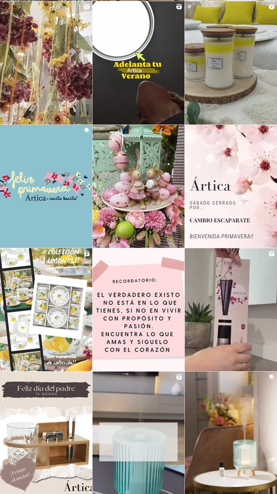Perfil de Instagram de Ártica antes de la campaña